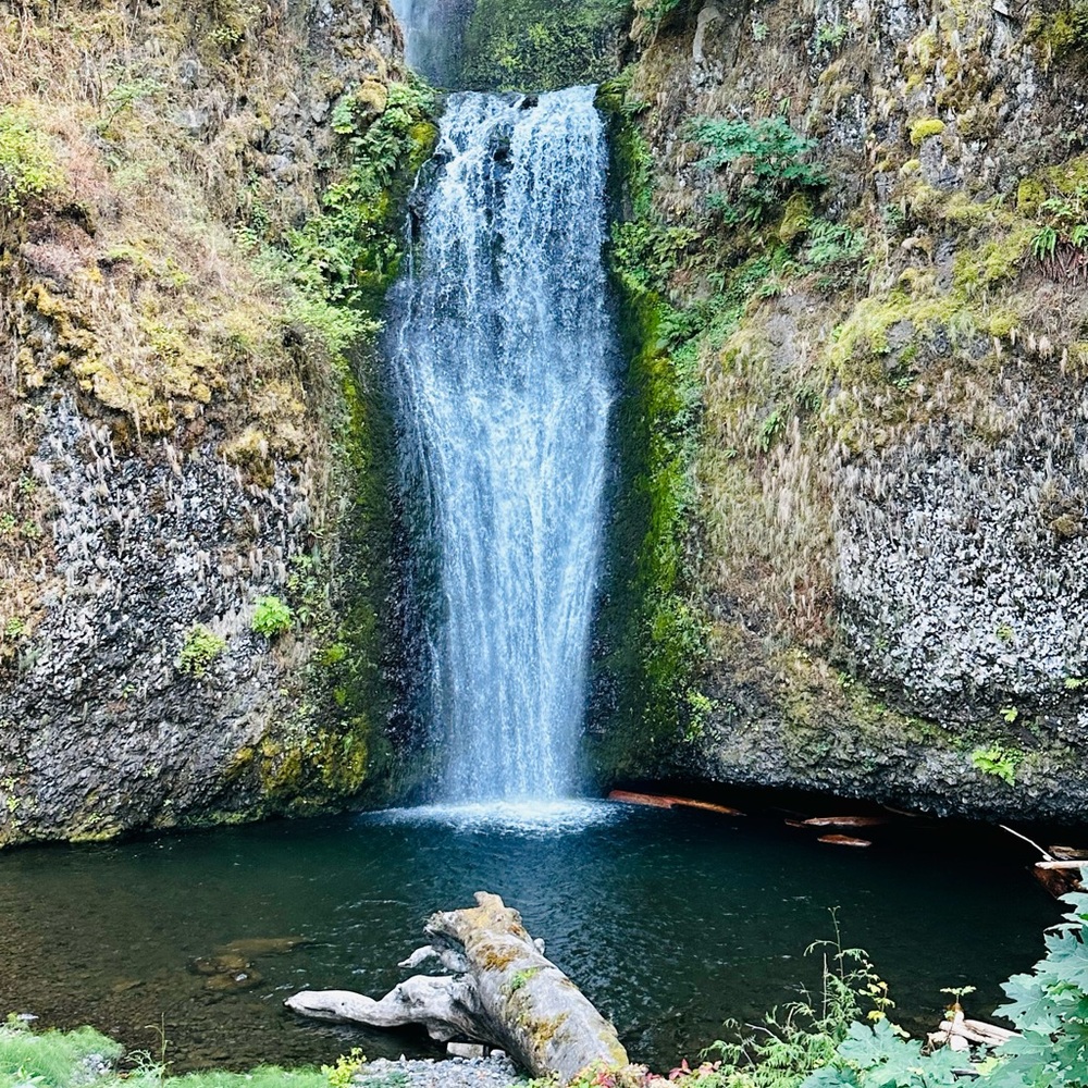 Meet your Posher, Carol